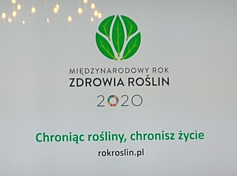 Chroniąc rośliny chronisz życie