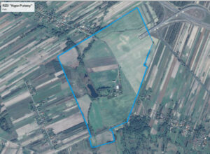 RZD „Kępa” – Gospodarstwo Pulki