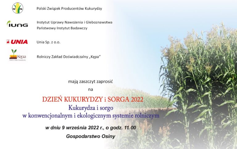 Dzien kukurydzy