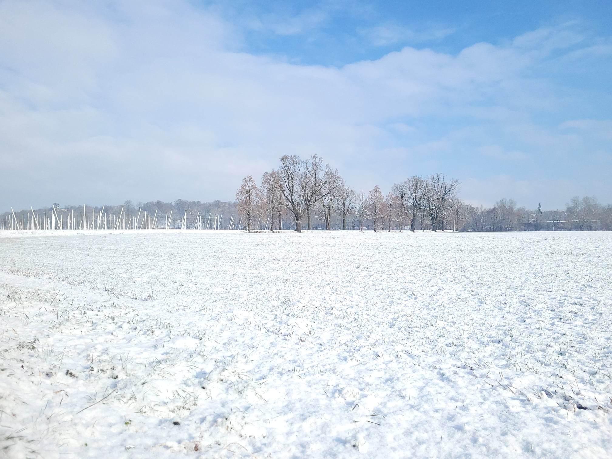 RZD Kępa zimową porą