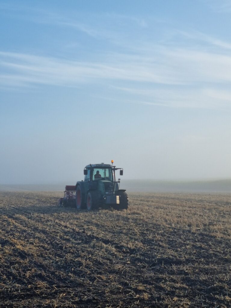 Błonie-Topola. Siew międzyplonów