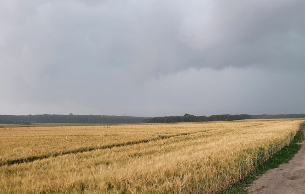 Gosp. Osiny RZD Kępa