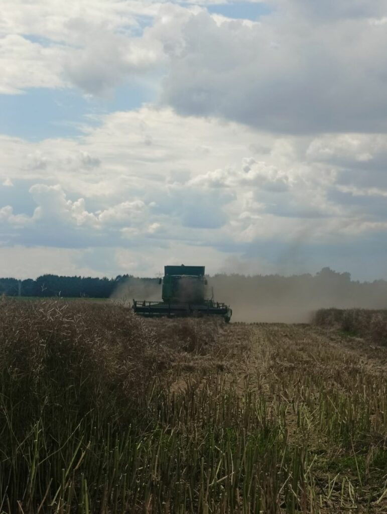 Gosp. Puławy - rzepak RZD Kępa