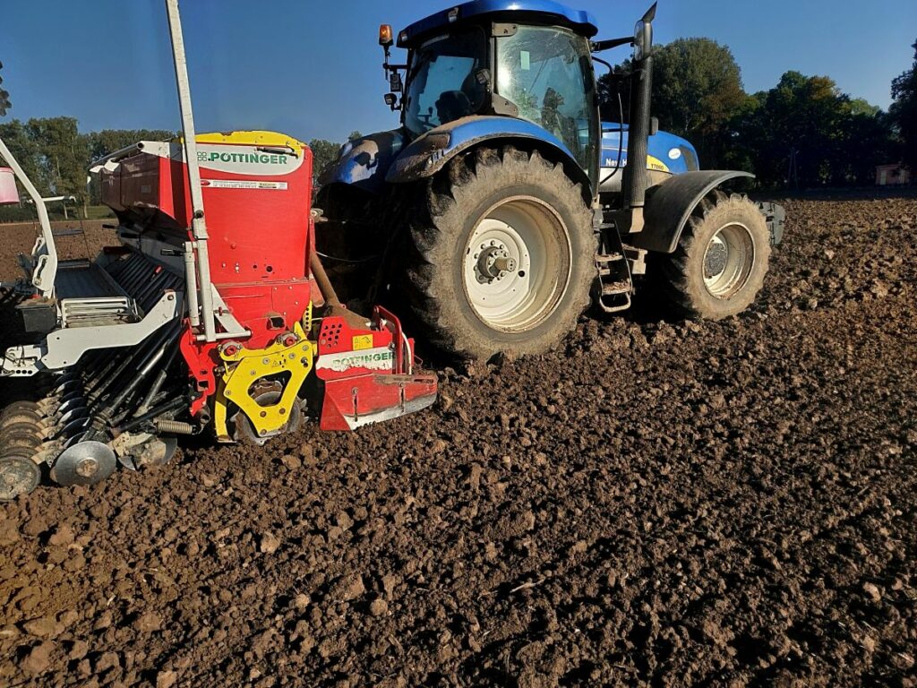 RZD Borusowa - Pole I Siew pszenicy oz Absint