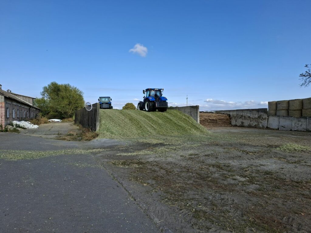 RZD Grabów - ugniatanie masy zielonkowej