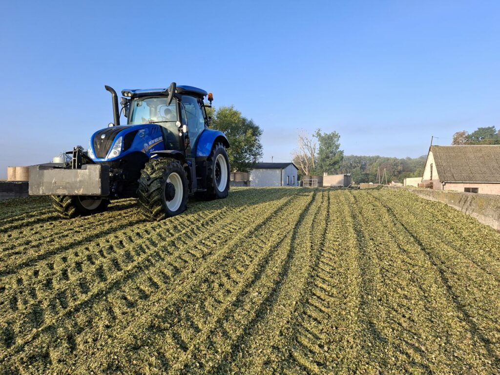 RZD Grabów - ugniatanie zielonki