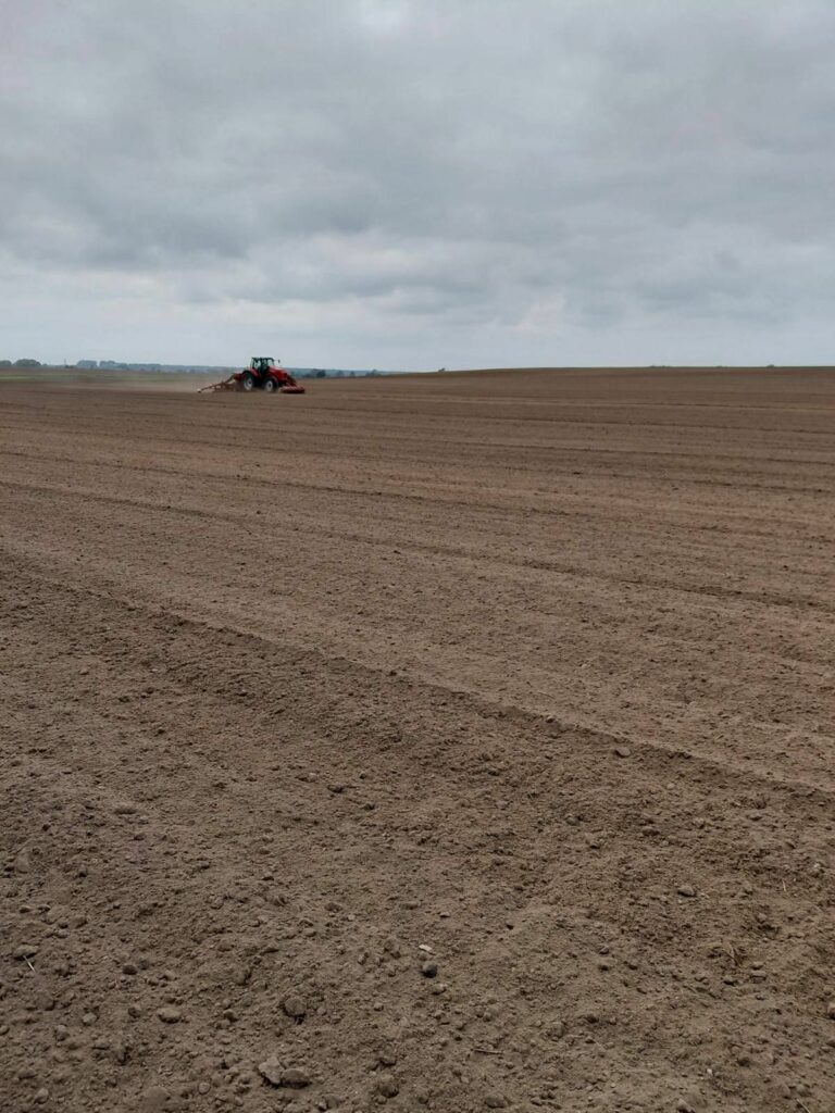 RZD Wielichowo - siew żyta ozimego, pole A3