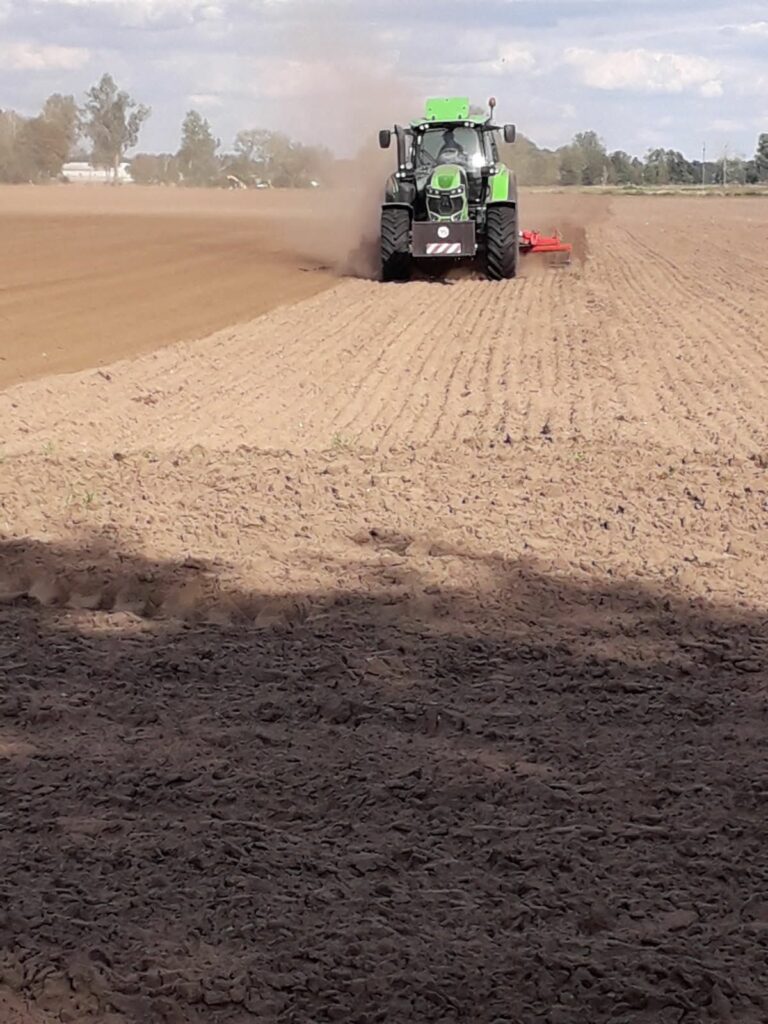 RZD Wielichowo - uprawa przdsiewna ,pole A5