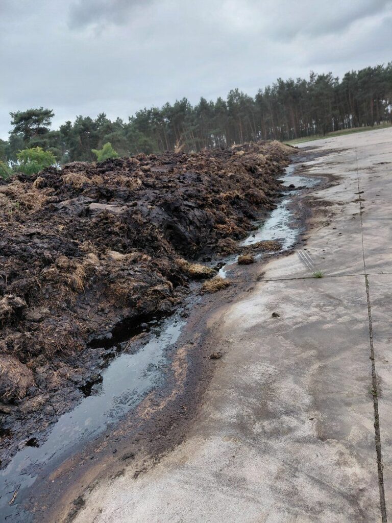 RZD Wielichowo - zgromadzony obornik pod uprawę buraków cukrowych