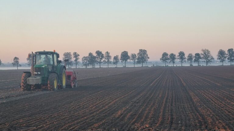 RZD Błonie-Topola - siew pszenicy ozimej