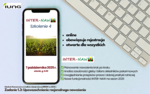 Inter - naw grafika