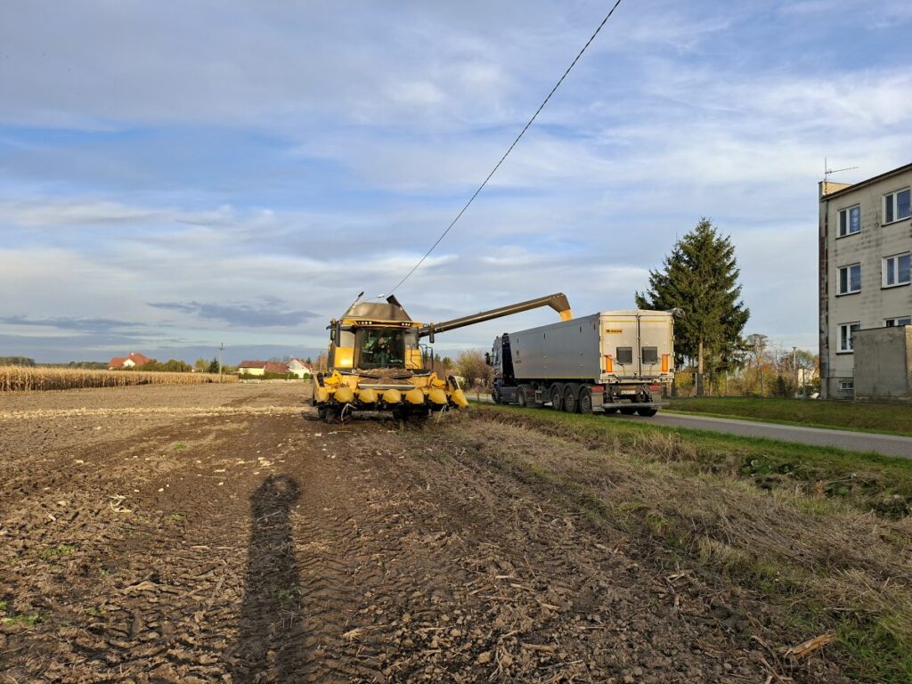 RZD Grabów - Zbiór kukurydzy