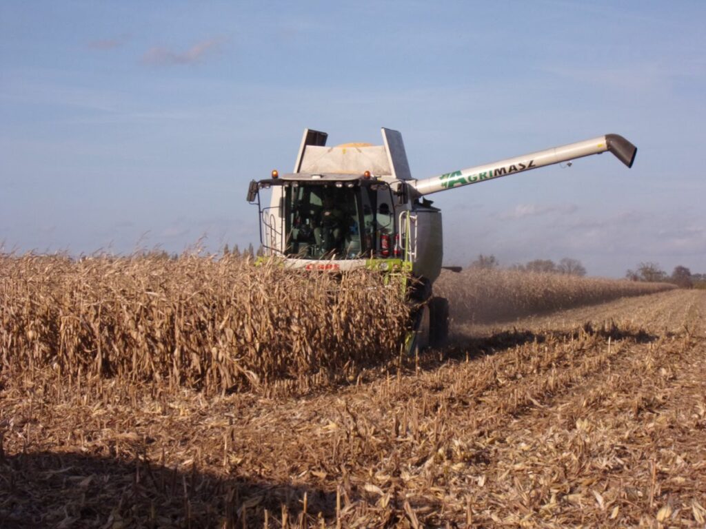 RZD Baborówko - Zbiór kukurydzy