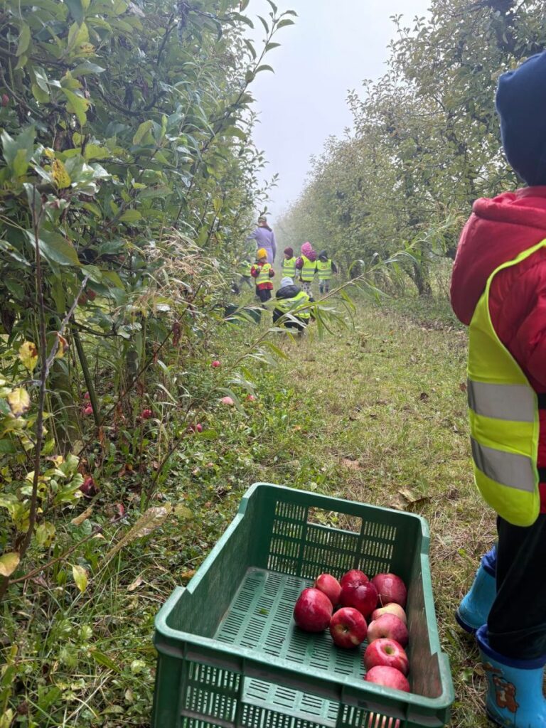 RZD Kępa - Wizyta przedszkolaków w sadzie