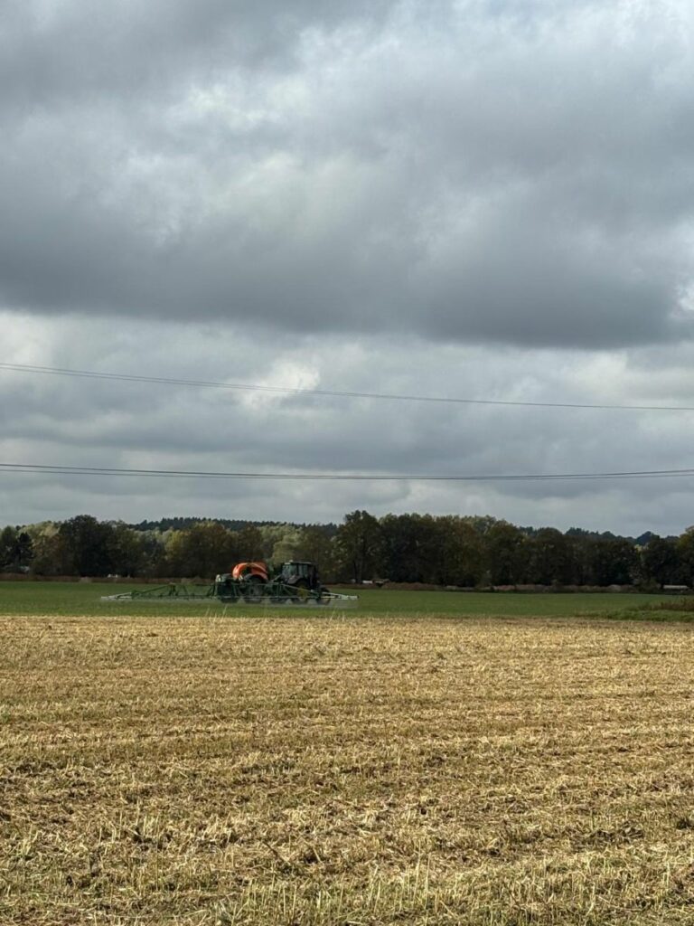 RZD Kępa - Zabiegi herbicydowe w uprawie rzepaku -Kępa