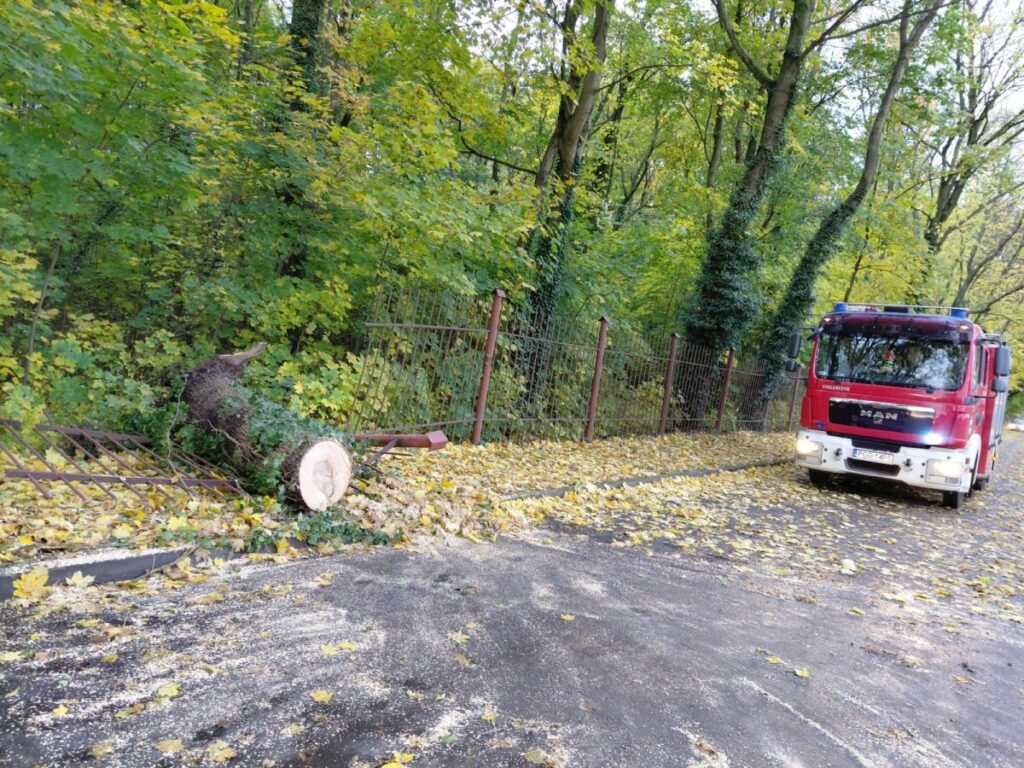 RZD Wielichowo - Uszkodzone ogrodzenie parku