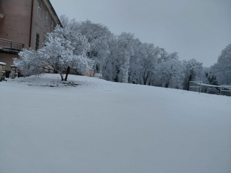 RZD Wielichowo - Aura zimowa Wielichowo 2025