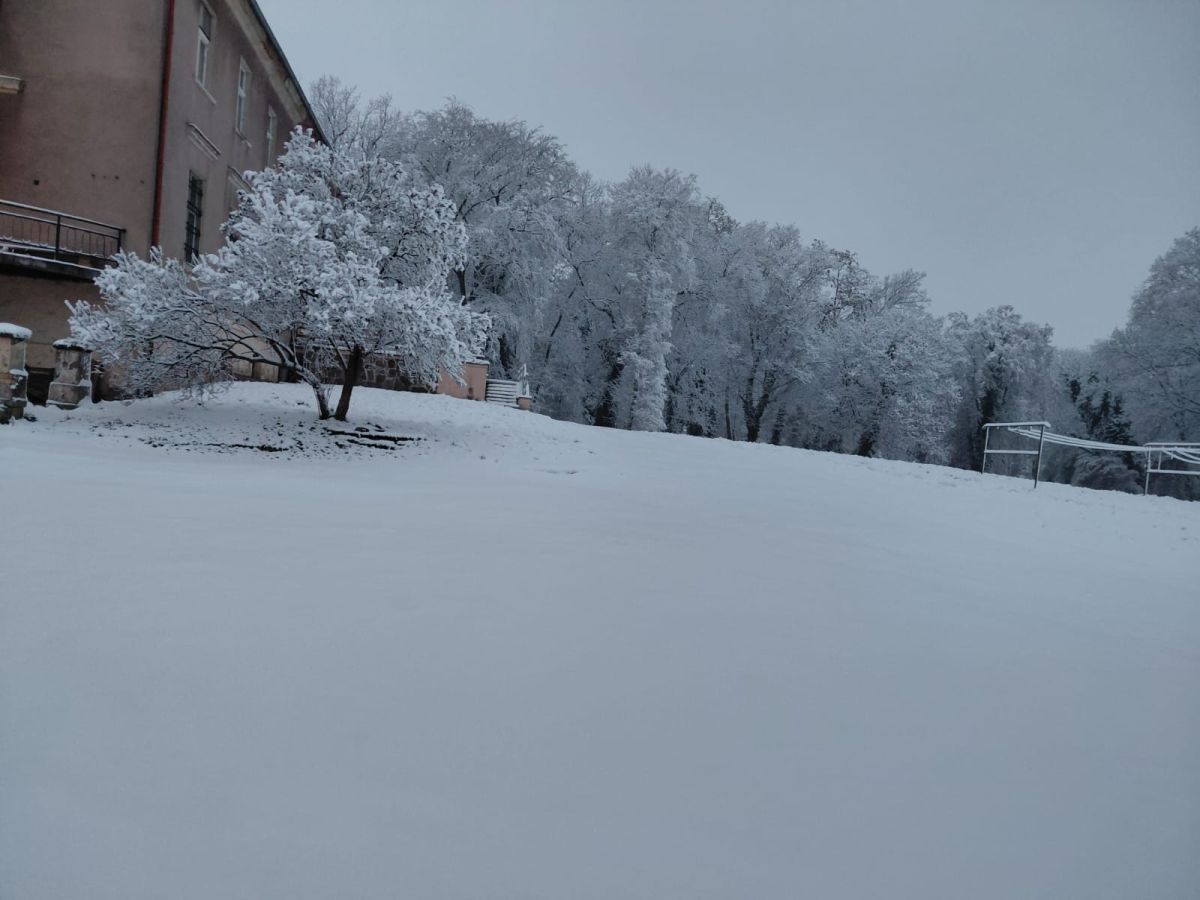 RZD Wielichowo - Aura zimowa Wielichowo 2025