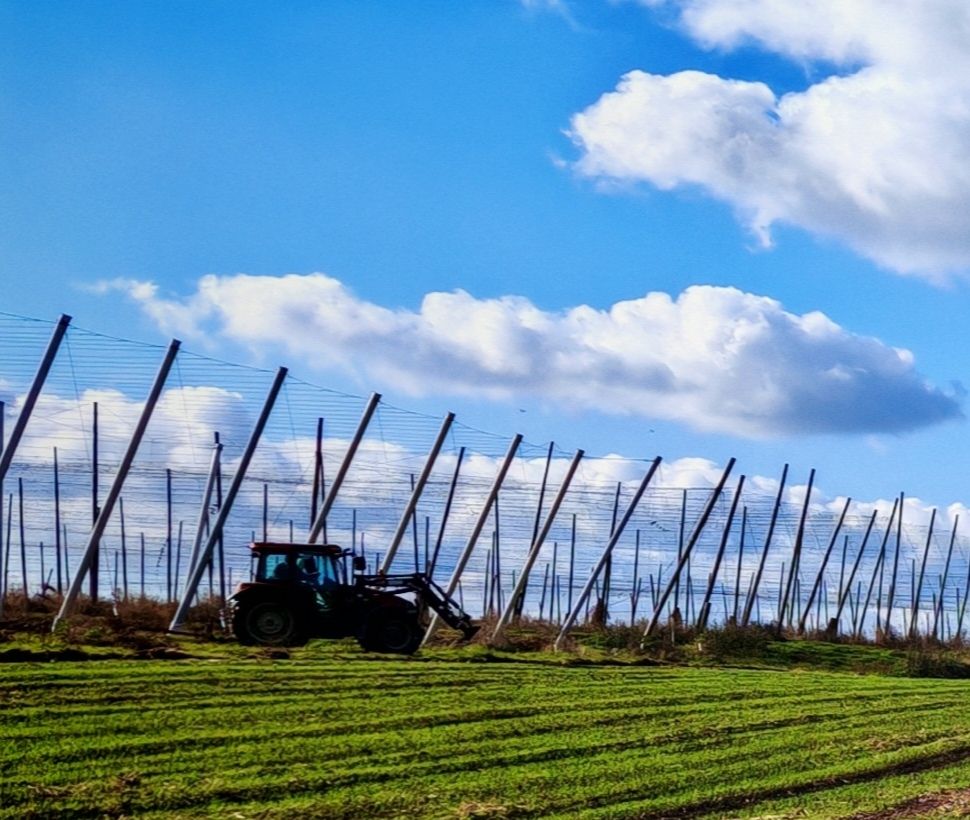 RZD Jastków - Jesienne głęboszowanie plantacji chmielu