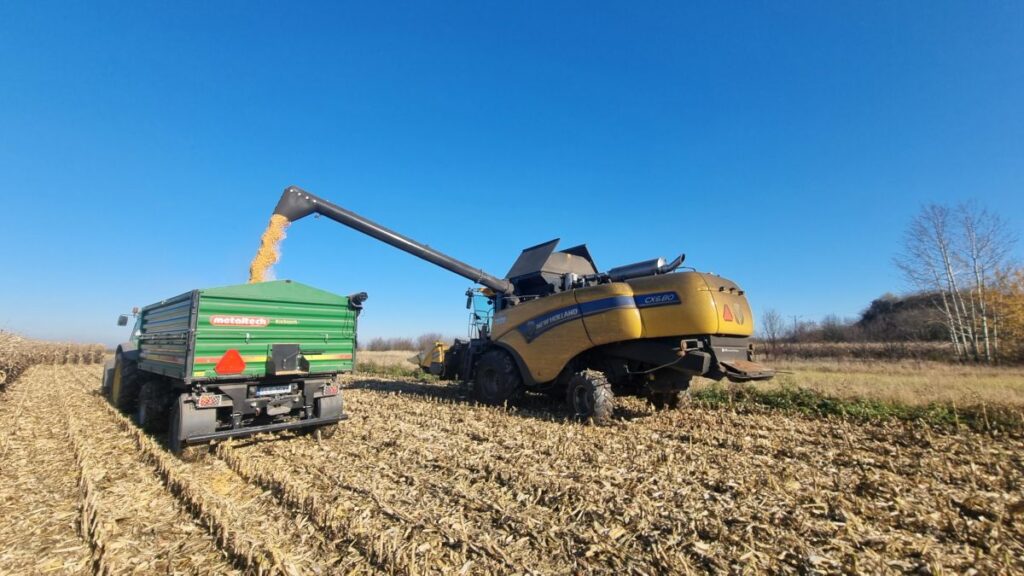 RZD Błonie-Topola - Zbiór kukurydzy