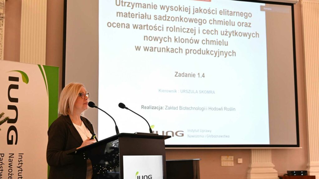 podsumowanie DC 2025