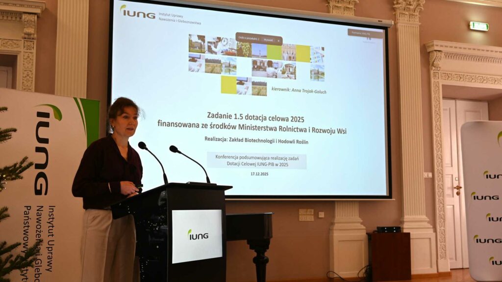 podsumowanie DC 2025