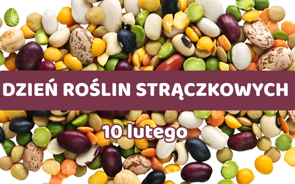Dzień roślin strączkowych - grafika