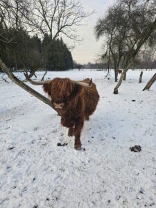 RZD Kępa - Highland