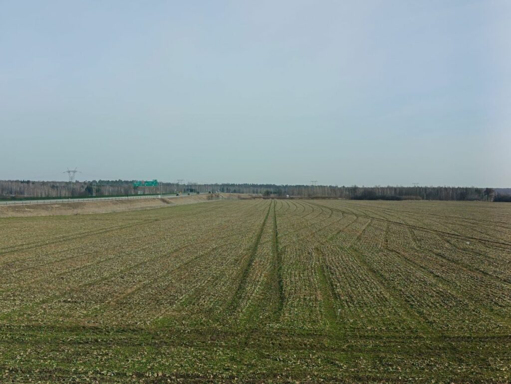 RZD Kępa - rzepak oz., Pulki