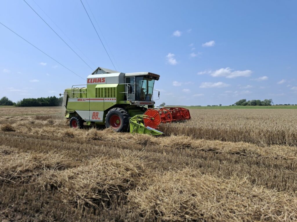 RZD Grabów - zbiór pszenicy (M. Sowiński)